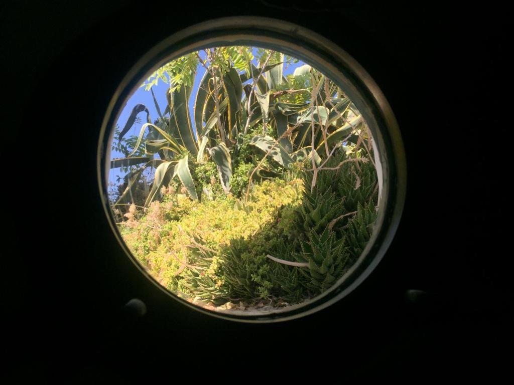 Rifugio Del Marinaio - Sul Mare Villa Polignano a Mare Esterno foto